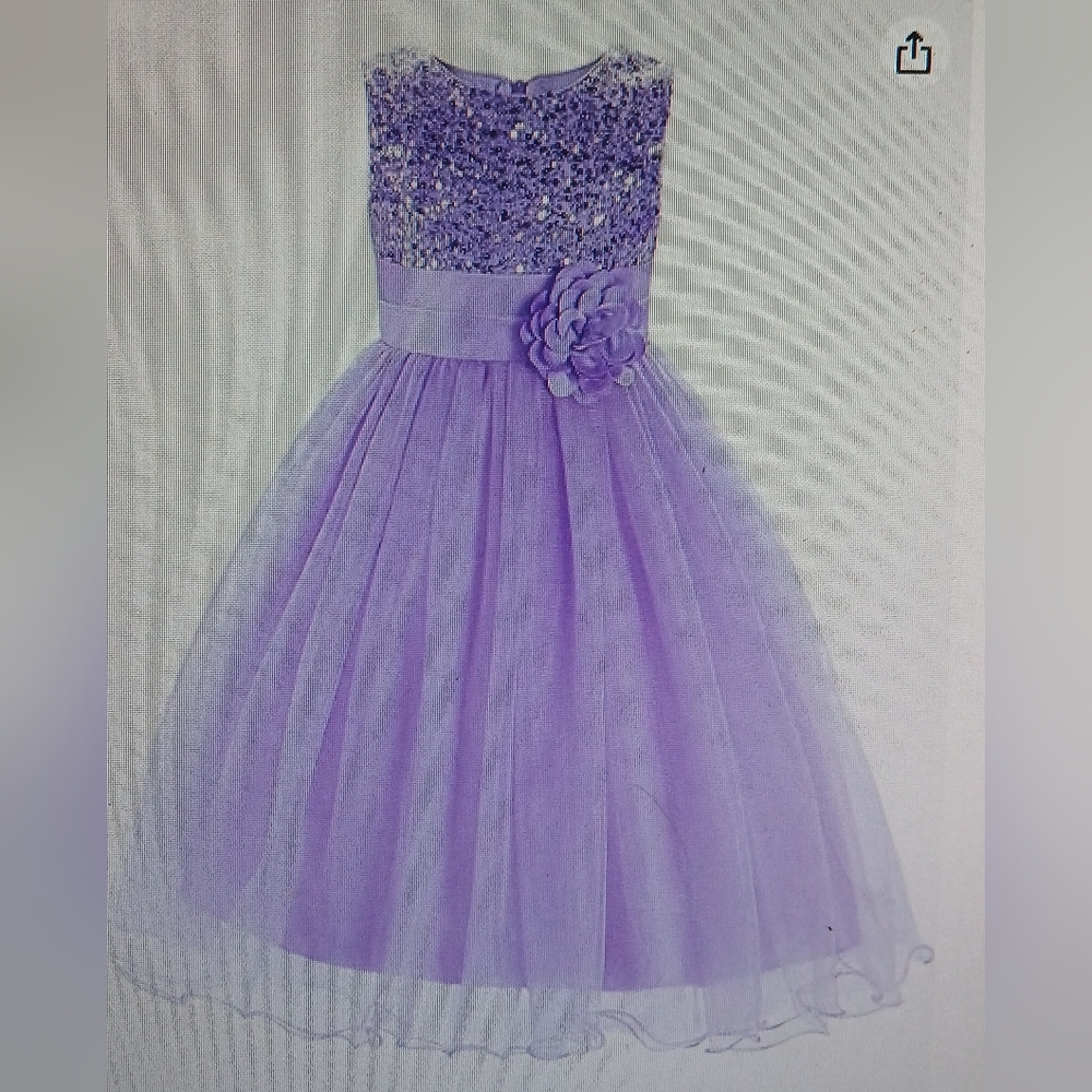 Ferris Apparel Little Girls Sequin Mesh Dress,  Size 130